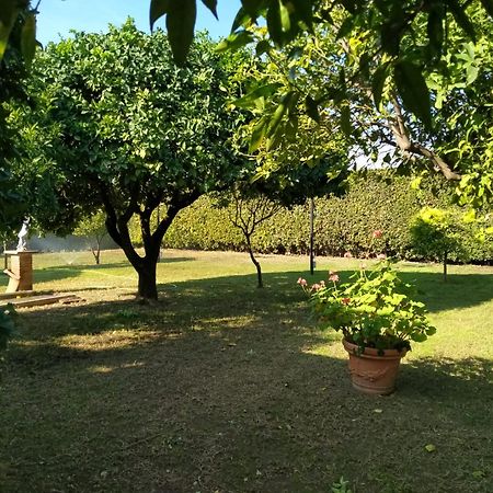 Da Ninnilla Holiday Home 斯卡法蒂 外观 照片
