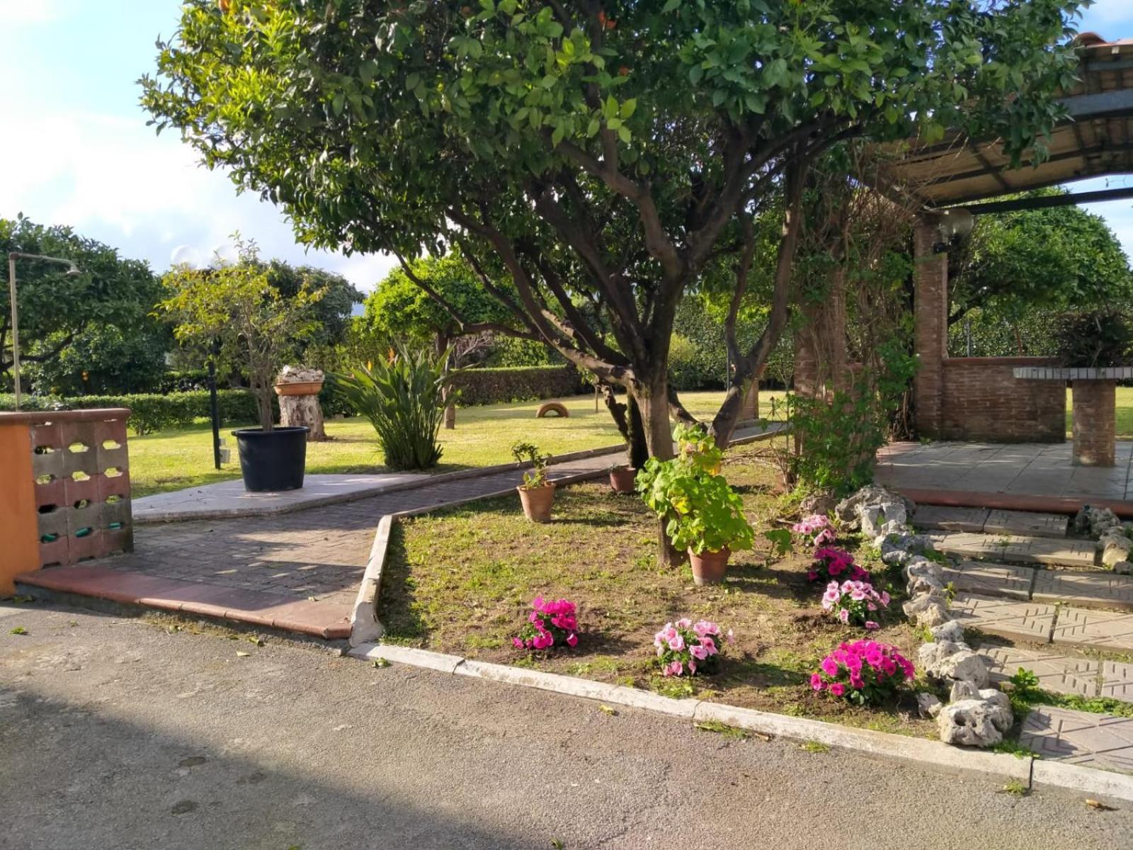 Da Ninnilla Holiday Home 斯卡法蒂 外观 照片