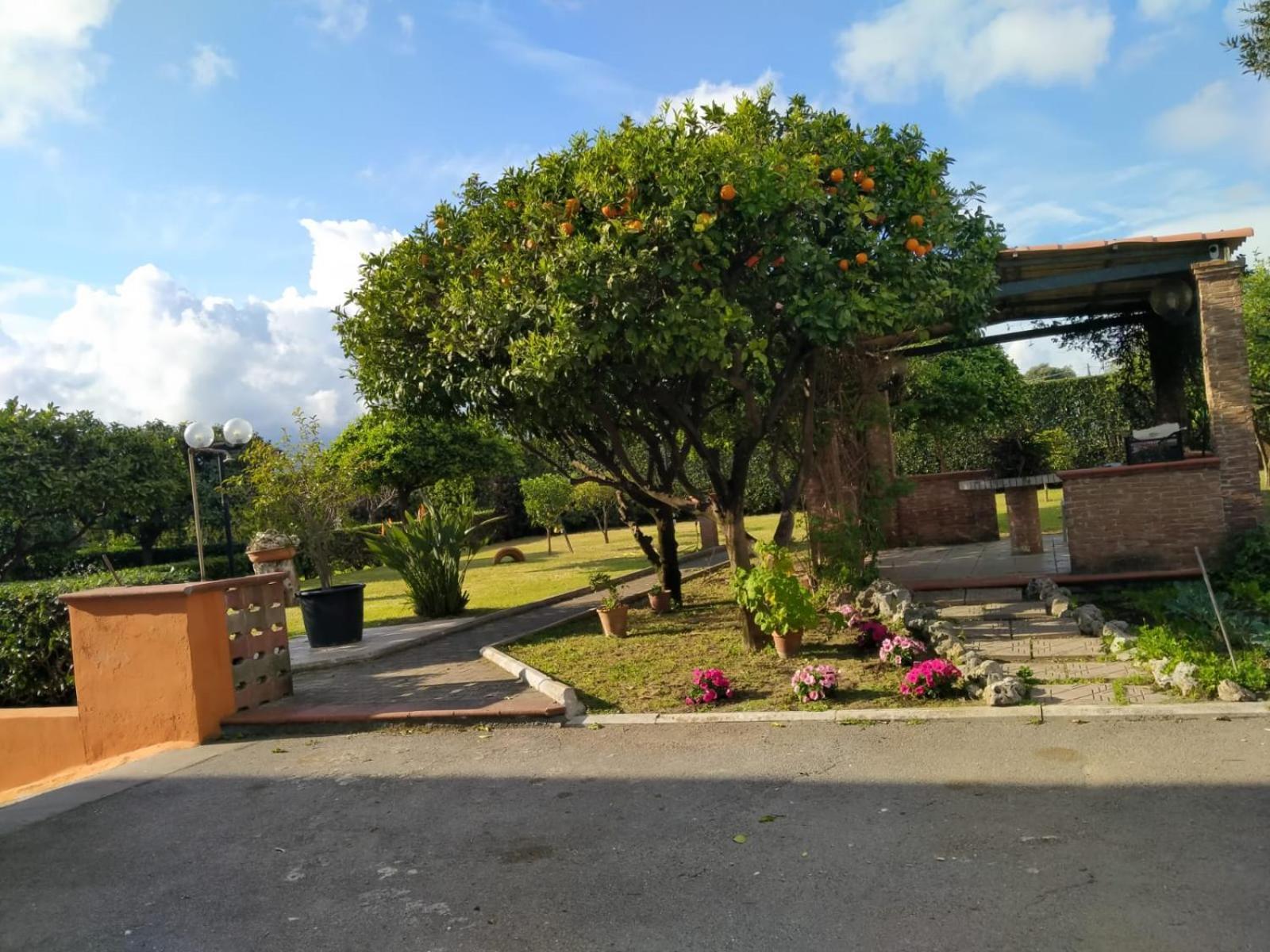 Da Ninnilla Holiday Home 斯卡法蒂 外观 照片