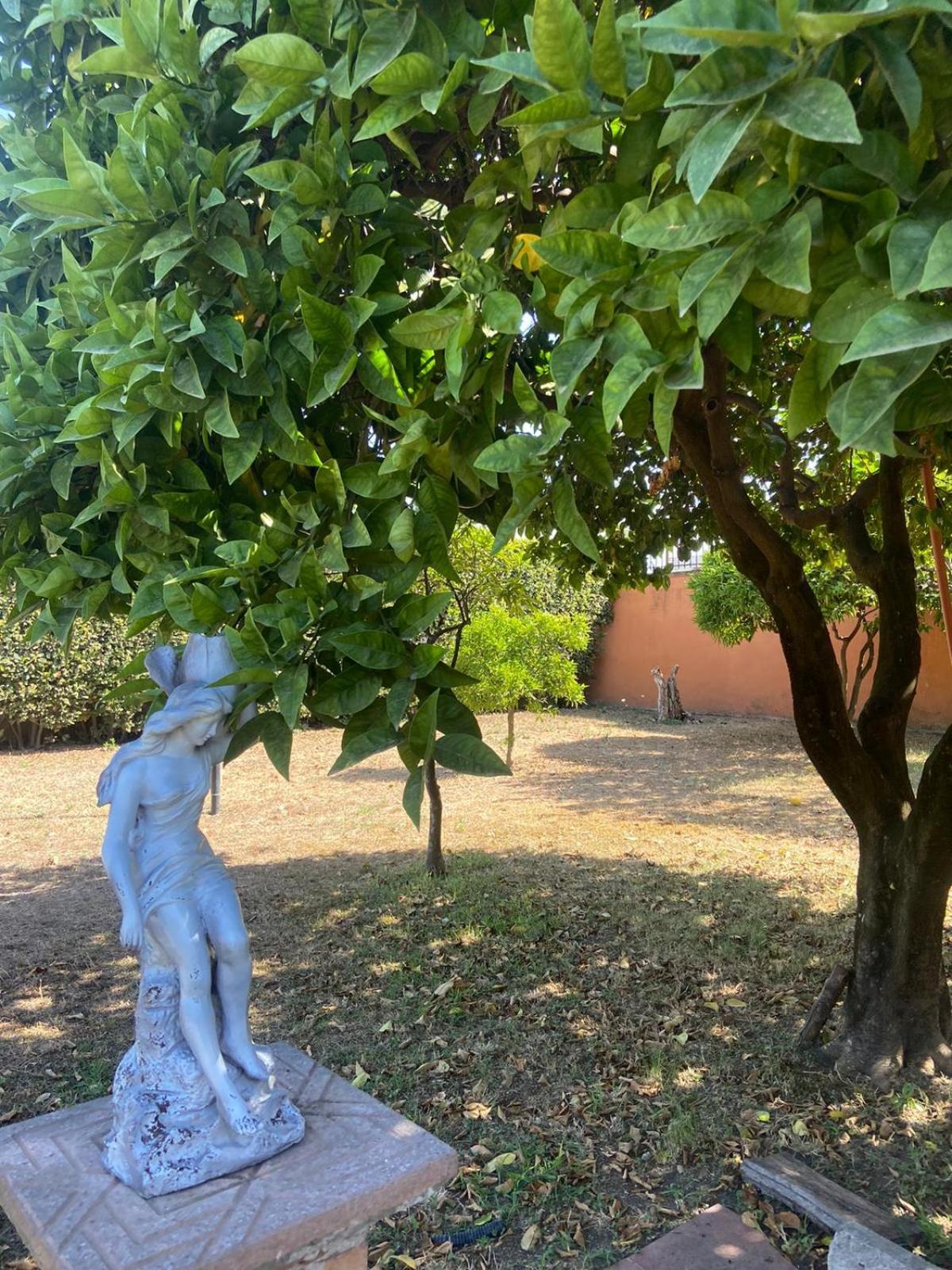 Da Ninnilla Holiday Home 斯卡法蒂 外观 照片