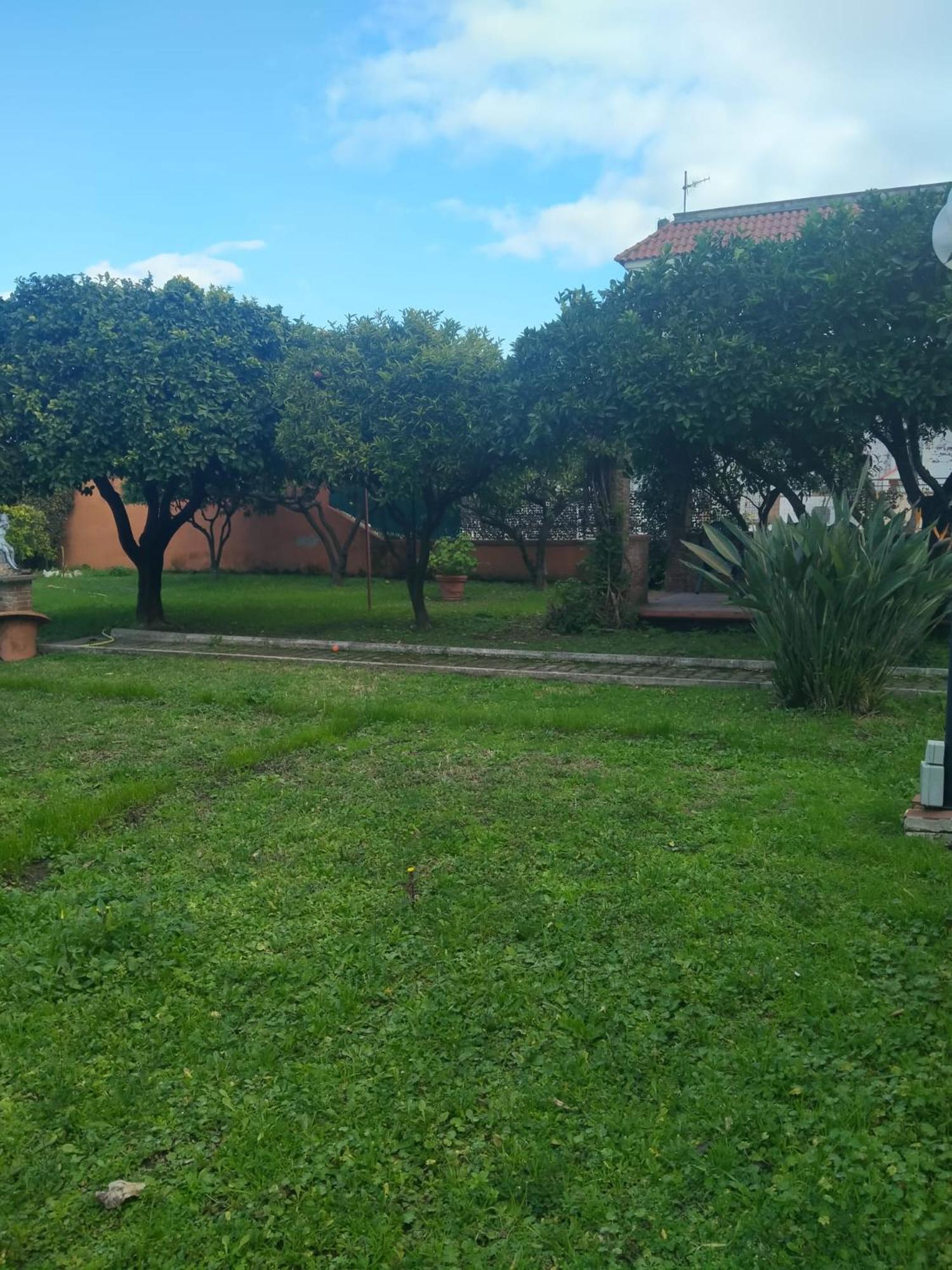 Da Ninnilla Holiday Home 斯卡法蒂 外观 照片