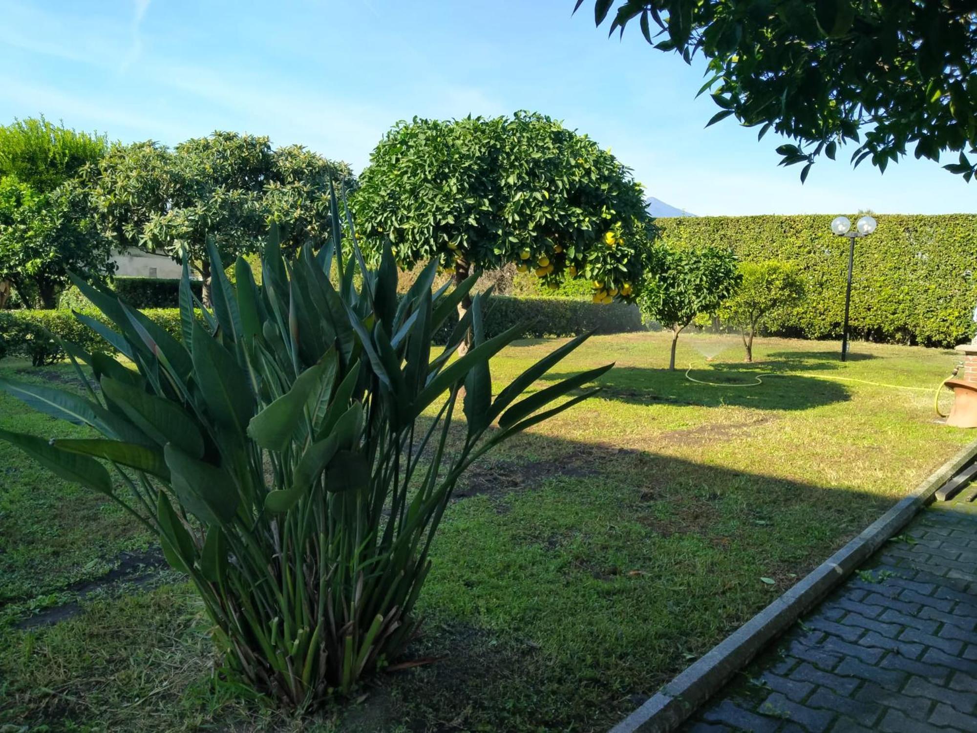 Da Ninnilla Holiday Home 斯卡法蒂 外观 照片